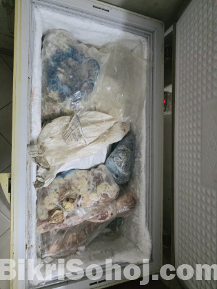 Singer Refrigerator cold storage freezers